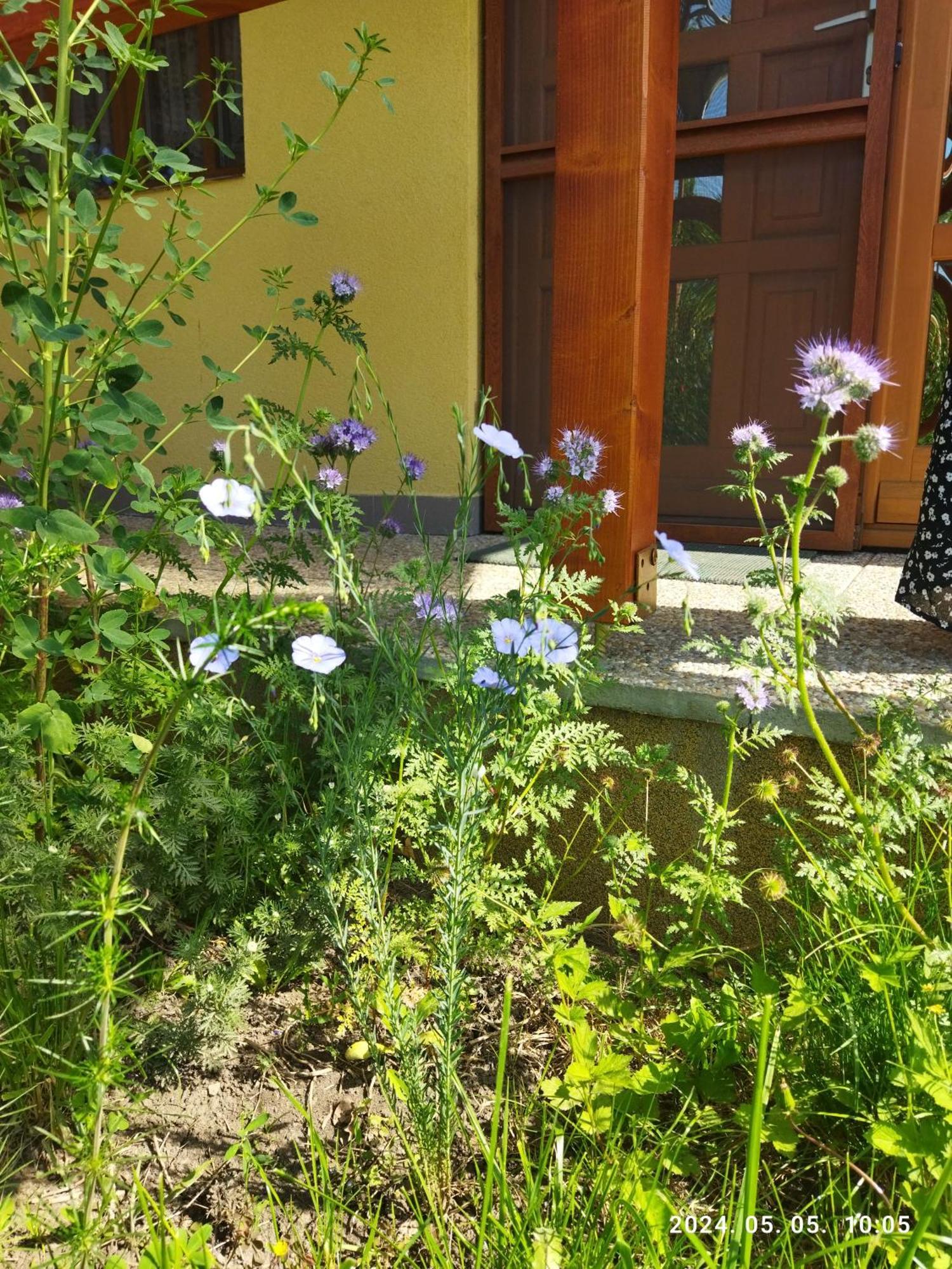Eden Vendeghaz Apartment Kisnana Exterior photo